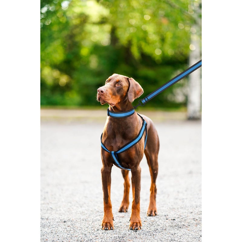 Mile High Life Night Reflective Double Adjustable Band Nylon Small Puppy Pet Dog Combo Collar Leash and Harness Set (Reflective Edge Blue, Small (Pack of 3)) - Image 3